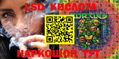 дживик Тара